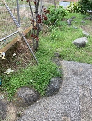 平塚市での植木伐採前の庭の状態